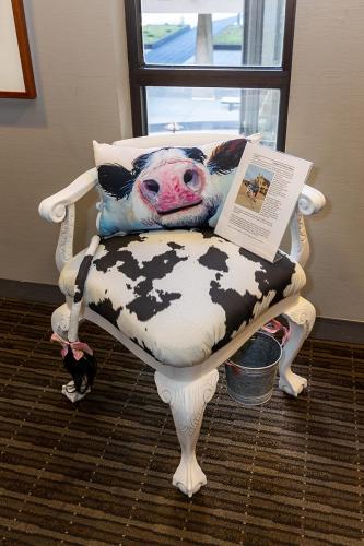Rare Chairs on Display